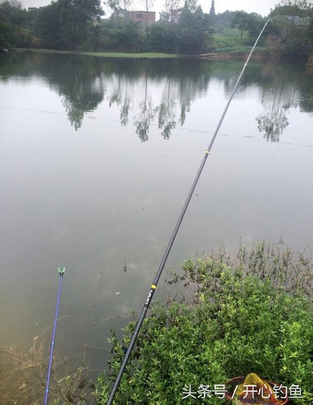 老鬼鱼饵料钓鳊鱼,老鬼专钓鳊鱼饵料配方