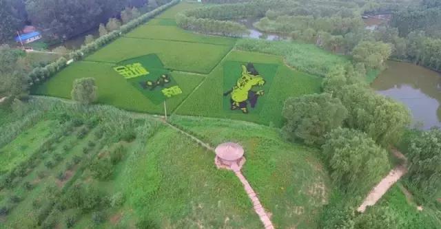 盘锦免费一日旅游景点推荐一下,盘锦旅游攻略必去景点
