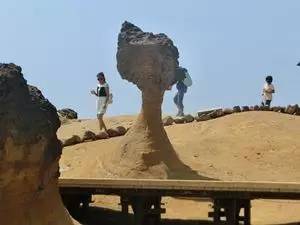 王蕊和乔杉相亲全集,王蕊半决赛