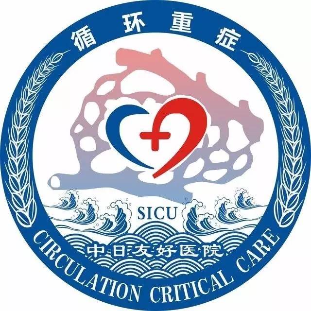 中日医院产科,中日医院重症医学