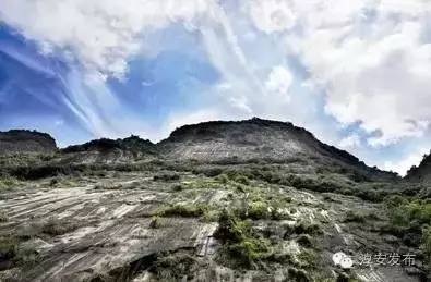 大墅介绍,大墅简介