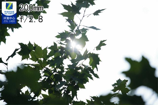 索尼fe70-200mmf4微距,索尼fe70-200mmf4goss拍多远