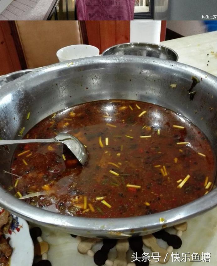 第一次钓鱼收获不错,晨钓该钓浅还是深