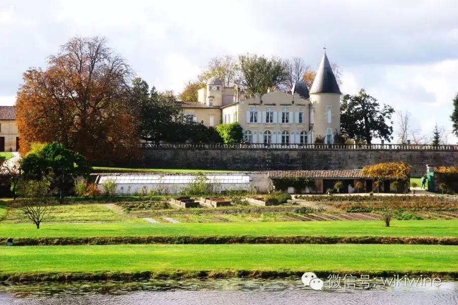 新手喝葡萄酒怎么喝,新手葡萄酒知识培训