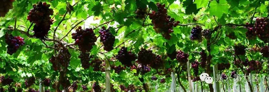 宁波出发高铁4-5小时能到哪里,宁波出发坐高铁三日游推荐