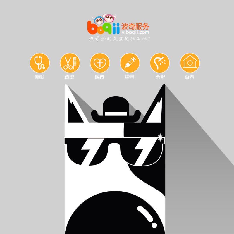 狗狗领回家多久可以训练呢,狗狗新手上路请多关照