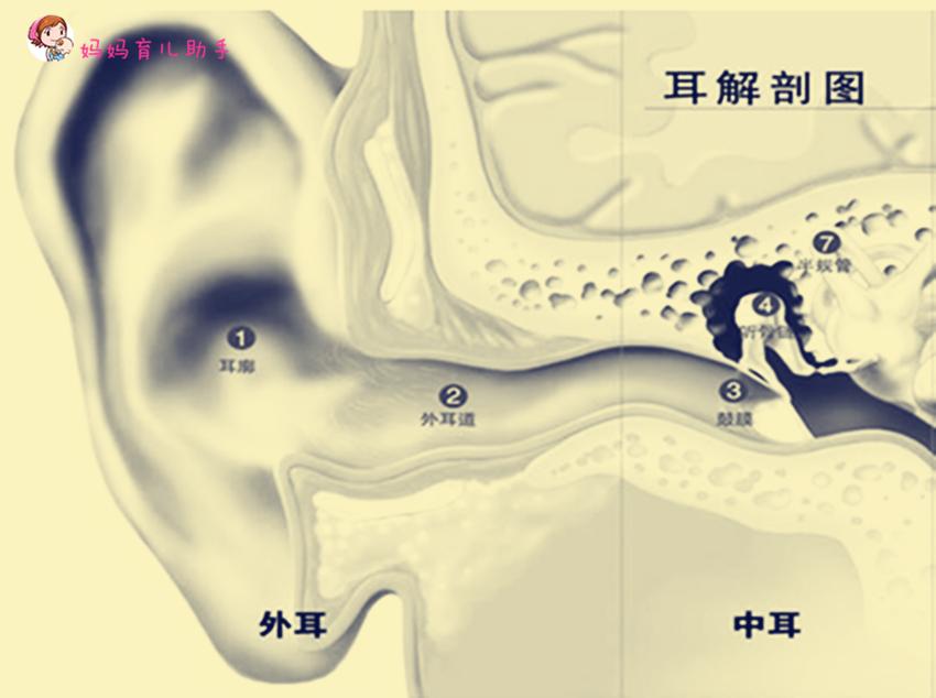 宝宝突然耳朵痛是怎么回事,宝宝突然耳朵痒怎么解决