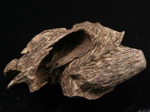 沉香的养护方法,沉香的养护和禁忌