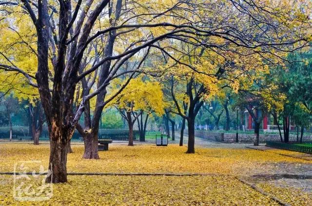 资讯元宵节,趵突泉校区