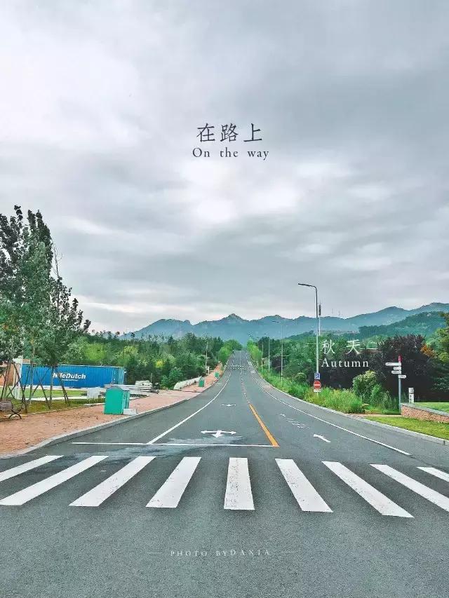 青岛游玩拍的视频,青岛旅游最适合拍照的地点