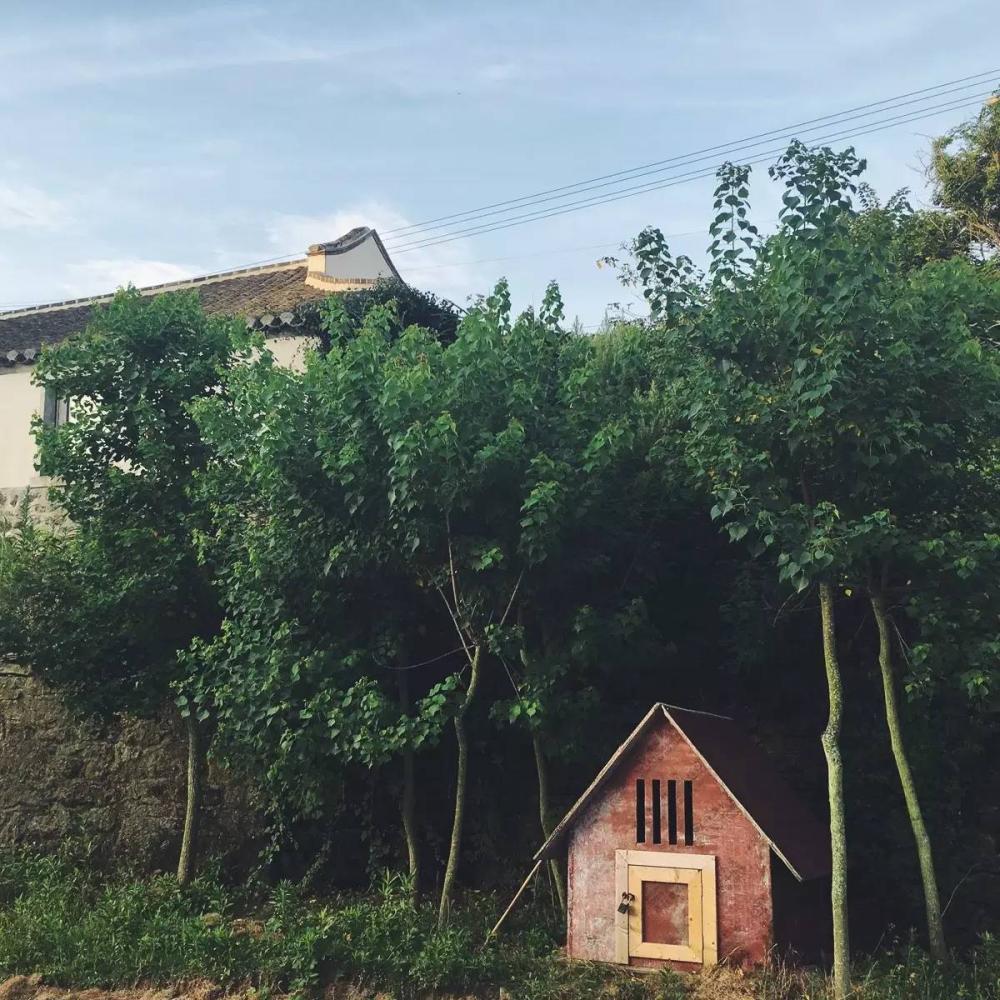 中国日落绝美小渔村,五一旅游小渔村日落