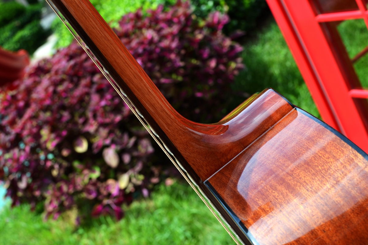 有声有色，久弹不累：乐果D10，吉他初学者的明智之选