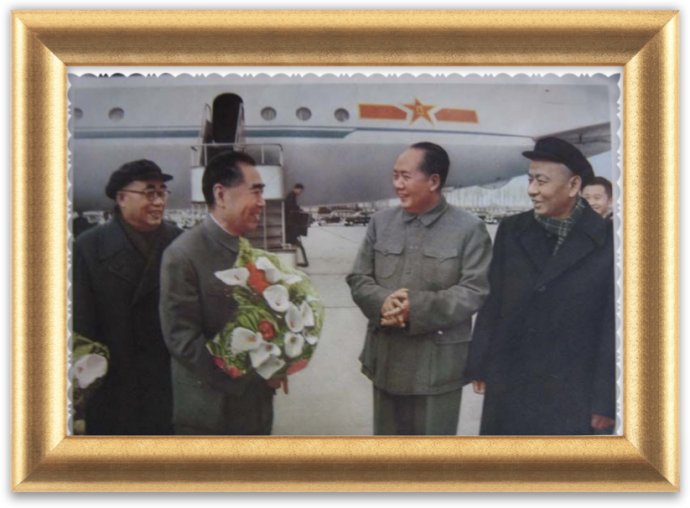 每日一花:马蹄莲总理喜爱的花儿