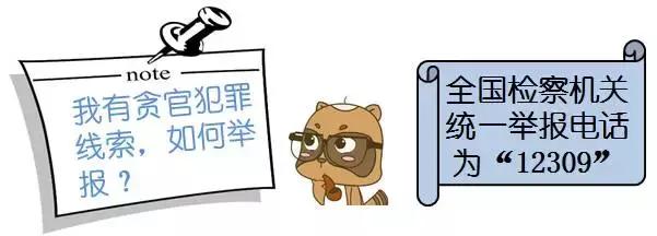 反贪手段怎么调查,反贪局抓捕小贪官电视剧