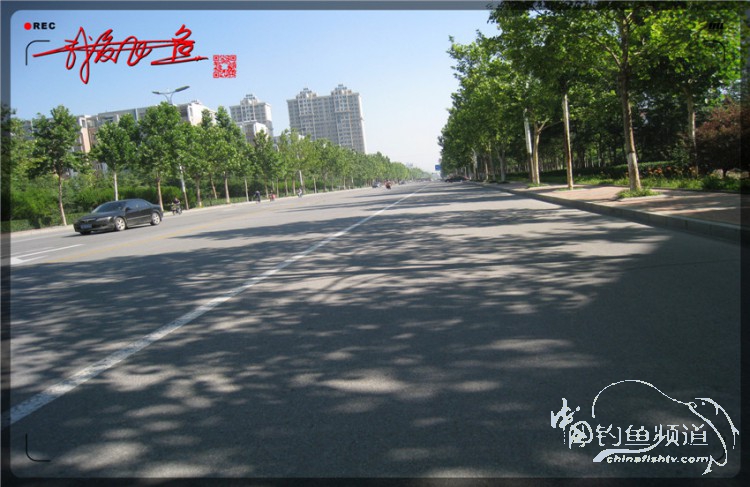 户外野钓小河沟七星鱼,鲫鱼野钓小河沟