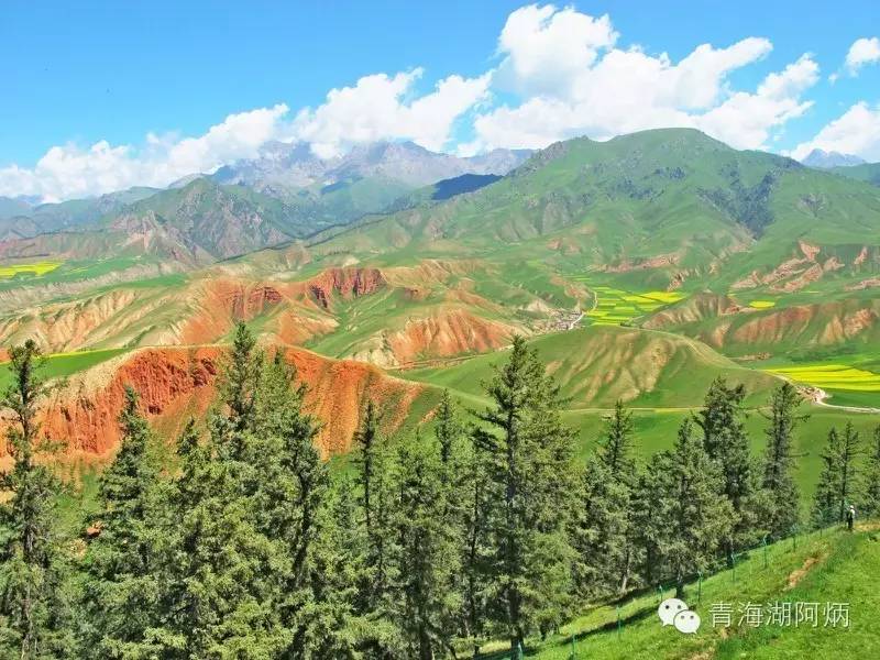 青海湖和沙坡头哪个更值得去,12月青海湖值得去吗