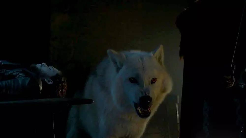 幻城被批五毛特效,幻城特效