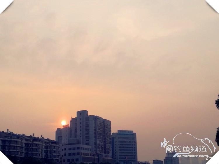 早起的鸟儿有虫吃动画,早起的鸟儿有虫吃故事