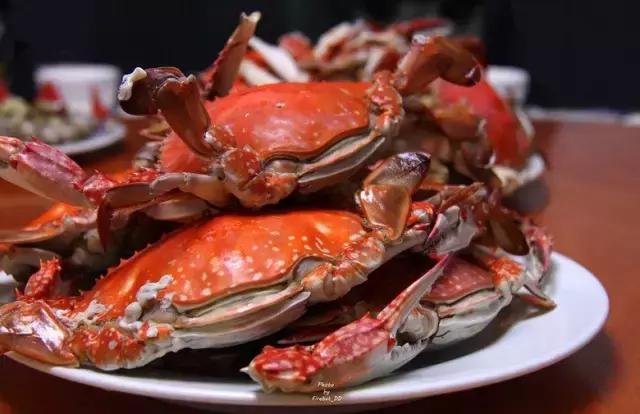 浙江最美的6个渔村,浙江最美渔村