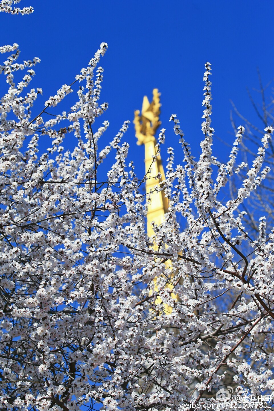 住下来，才知道旅顺口有多好