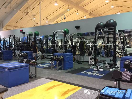 体育培训怎么报名,体育培训如何线上招生