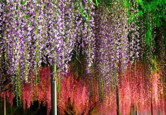 七夕送花怎么送比较合适,七夕送花小妙招