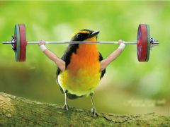 和你侃:世人只顾防老王却被隔壁老宋翻了墙