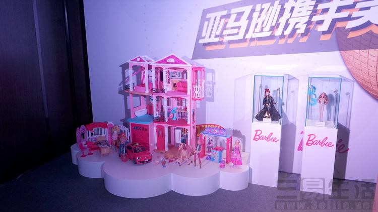 全球化的优势与挑战,亚马逊全球化