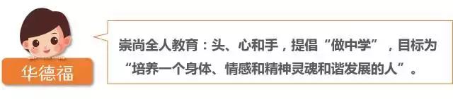 仅需10分钟，轻松搞清蒙氏、华德福、瑞吉欧三大幼教体系