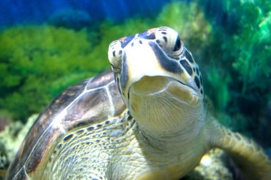 三亚下雨适合去旅游吗,三亚旅游遇到雨天怎么办