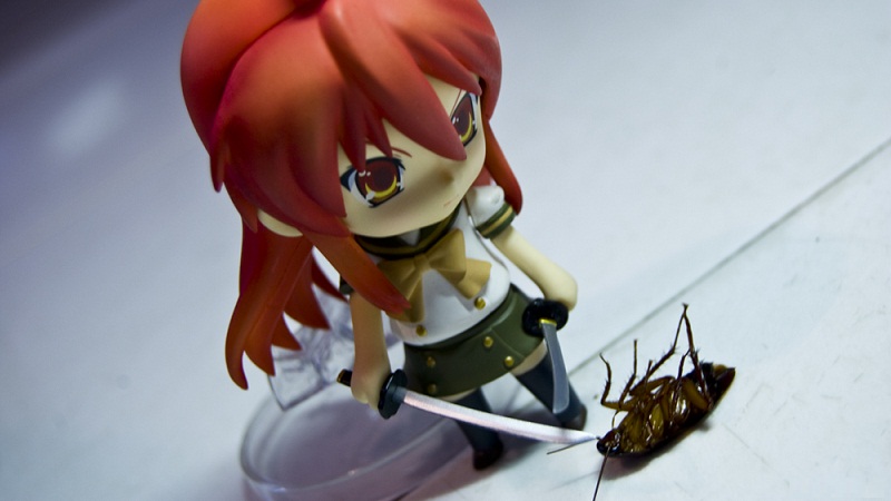 小试牛刀削面,小试牛刀讨黄巾