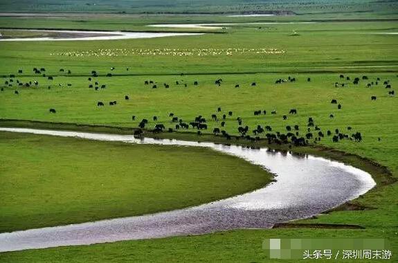 阿坝州川西北大草原,川西北若尔盖地区