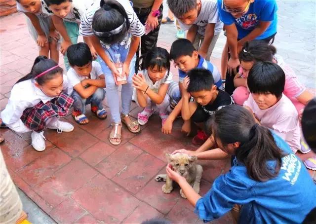 晚上注定是个不平凡的夜晚铃声,这个夜注定要不平凡