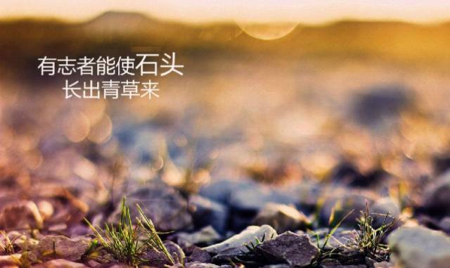 成功的领导者最重要具备什么,成功的领导者是怎么样的参考答案