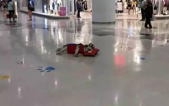 调侃男人努力挣钱句子搞笑,男人努力赚钱正能量的段子