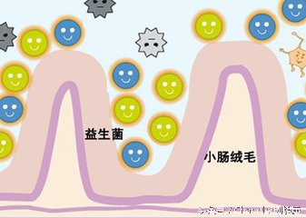 喝酸奶能缓解慢性胃炎吗,喝酸奶能预防肝性脑病吗