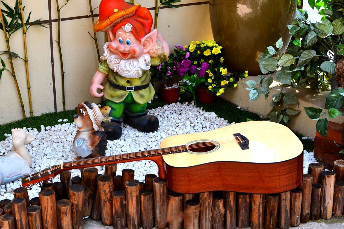 有声有色，久弹不累：乐果D10，吉他初学者的明智之选