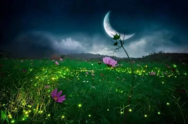 不需要签证的最美海岛,最美海岛免签的地方