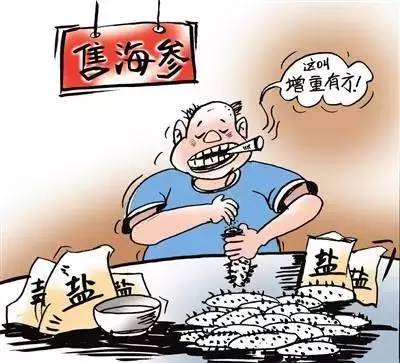 最有名的辽参,辽参真的那么好吗