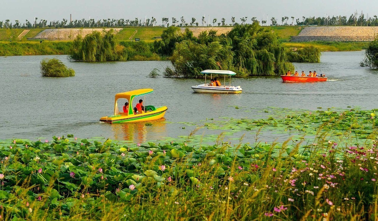 灞渭车游湿地公园价格,西安灞渭车桥湿地免费不