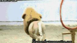 踢足球一定要学会颠球吗,踢足球都是罗圈腿吗