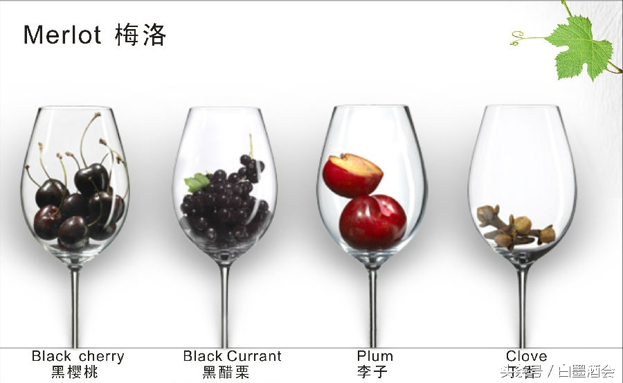 波尔多右岸四大顶级酒庄,波尔多的四大红酒著名产区