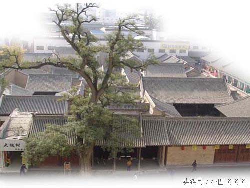 天水到宝鸡有什么旅游景点,天水适合老人旅游的景点排行榜