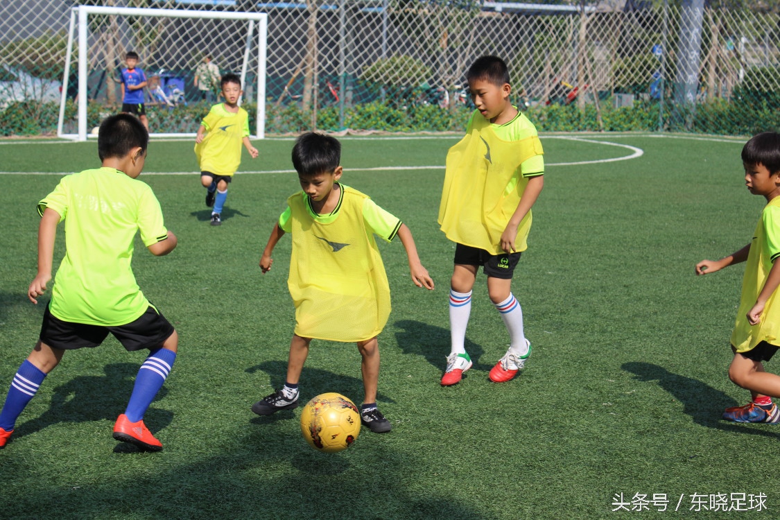 临沂绿茵足球俱乐部,临沂足球俱乐部夏令营