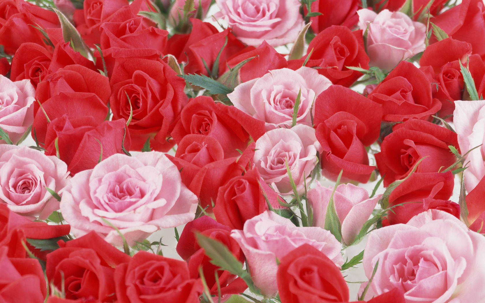 怎么问水瓶女生的兴趣爱好,水瓶女真的很不招男人喜欢吗