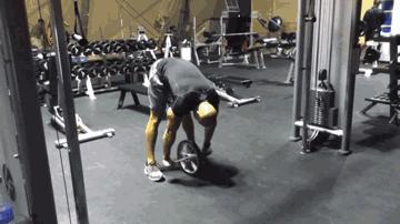 滚出腹肌，滚走肥肉，健腹轮。