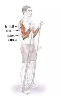 足球运动的专项体能训练,足球运动应注意哪些事项