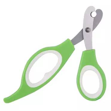 狗狗领回家多久可以训练呢,狗狗新手上路请多关照