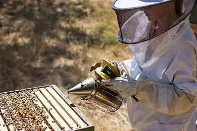 老中医蜂蜜系列,老中医生姜蜂蜜