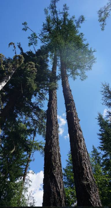 海马s5试驾越野,试驾海马s5
